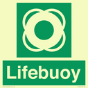lifebuoy-with-symbol~